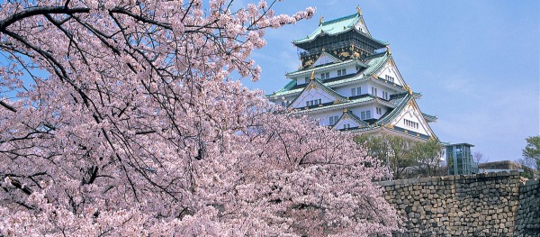  Is Osaka Safe For Travel In 2024 African Jacana